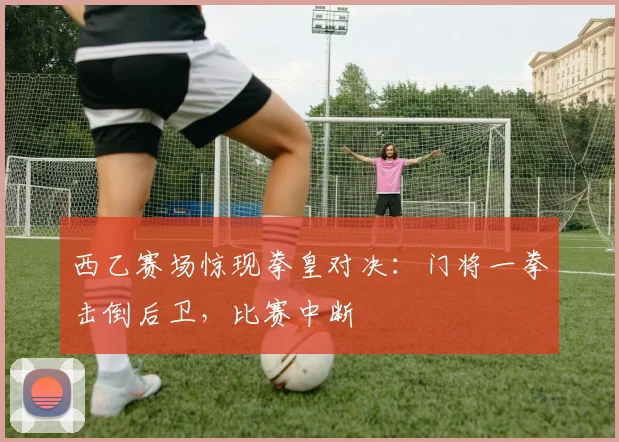 西乙赛场惊现拳皇对决：门将一拳击倒后卫，比赛中断
