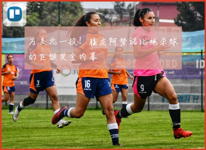 万美元一投！猛龙阿努诺比绝杀球的巨额奖金内幕